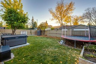 Photo 43: 239 Parkside Way SE in Calgary: Parkland Detached for sale : MLS®# A2013099