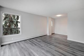 Photo 5: 301 1107 15 Avenue SW in Calgary: Beltline Apartment for sale : MLS®# A1222238