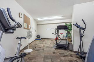 Photo 21: 3134 6818 Pinecliff Grove NE in Calgary: Pineridge Apartment for sale : MLS®# A2117871