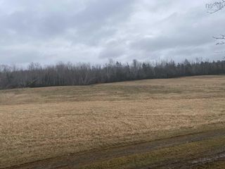 Photo 6: Lot 2 Highway 6 in Three Brooks: 108-Rural Pictou County Vacant Land for sale (Northern Region)  : MLS®# 202307928