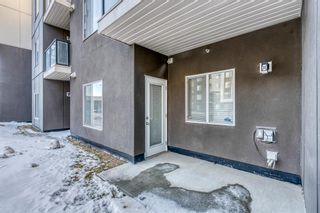 Photo 17: 1107 4641 128 Avenue NE in Calgary: Skyview Ranch Apartment for sale : MLS®# A2012838