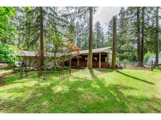 Photo 18: 2647 204 Street in Langley: Brookswood Langley House for sale : MLS®# R2456525