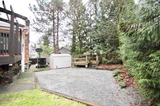 Photo 15: 3211 INGLESIDE Court in Burnaby: Government Road House for sale (Burnaby North)  : MLS®# R2330959