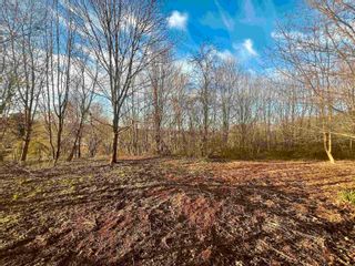 Photo 8: Lot 2022-2 Greenfield Road in Gaspereau: Kings County Vacant Land for sale (Annapolis Valley)  : MLS®# 202409252