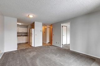 Photo 6: 110 280 Banister Drive: Okotoks Apartment for sale : MLS®# A2128088