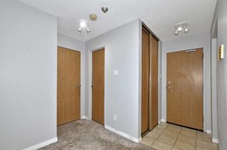 Photo 5: 233 30 Mchugh Court NE in Calgary: Mayland Heights Apartment for sale : MLS®# A2092709