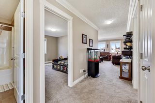 Photo 28: 9 Canals Cove SW: Airdrie Detached for sale : MLS®# A2022902