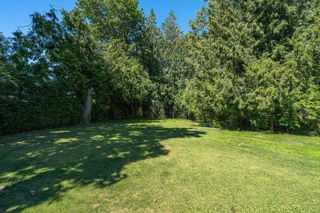 Photo 38: 23009 FRASER Highway in Langley: Salmon River House for sale : MLS®# R2709371