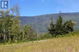 Photo 22: 2524 Enderby Mabel Lake Road in Enderby: Vacant Land for sale : MLS®# 10310628
