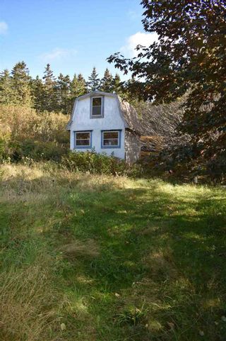 Photo 6: No 217 Highway in Centreville: 401-Digby County Vacant Land for sale (Annapolis Valley)  : MLS®# 201924593
