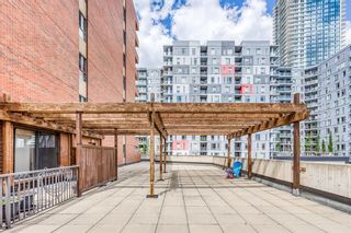 Photo 25: 401 1240 12 Avenue SW in Calgary: Beltline Apartment for sale : MLS®# A2053748