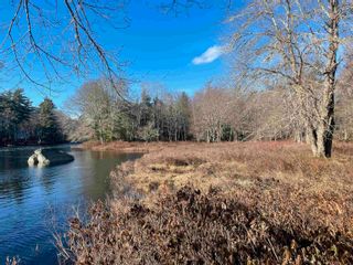 Photo 12: Block R1 Highway 203 in Lower Ohio: 407-Shelburne County Vacant Land for sale (South Shore)  : MLS®# 202302775