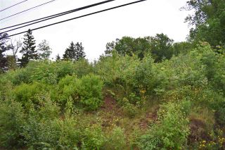 Photo 6: Lot No. 1 Highway in Smiths Cove: 401-Digby County Vacant Land for sale (Annapolis Valley)  : MLS®# 202014461