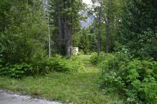 Photo 10: 206 ISLAND VIEW ROAD in Nakusp: Vacant Land for sale : MLS®# 2475414