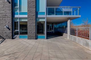 Photo 42: 102 88 Waterfront Mews SW in Calgary: Chinatown Apartment for sale : MLS®# A2116284