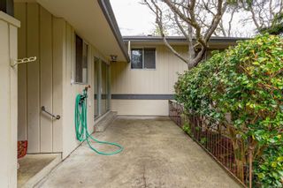 Photo 28: 3557 Redwood Ave in Oak Bay: OB Henderson Single Family Residence for sale : MLS®# 959514