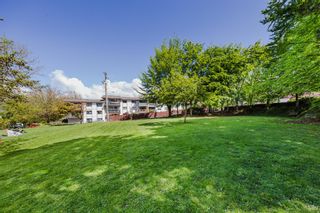 Photo 24: 304 2320 TRINITY Street in Vancouver: Hastings Condo for sale in "TRINITY MANOR" (Vancouver East)  : MLS®# R2651116