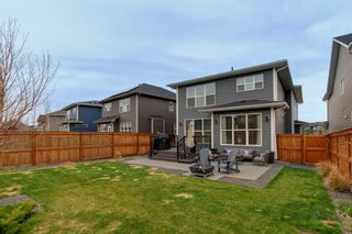 Photo 45: 56 Cranbrook Circle SE in Calgary: Cranston Detached for sale : MLS®# A2130152