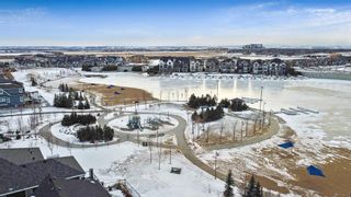 Photo 49: 17 Masters Park SE in Calgary: Mahogany Detached for sale : MLS®# A2013887