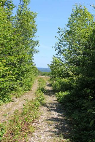 Photo 4: Lot 4 Morganville Road in Morganville: 401-Digby County Vacant Land for sale (Annapolis Valley)  : MLS®# 202012965
