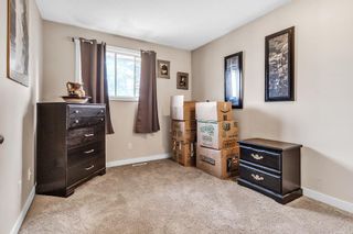 Photo 15: 52 Templeby Way NE in Calgary: Temple Detached for sale : MLS®# A2053536