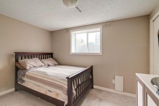 Photo 22: 504 Cantrell Drive SW in Calgary: Canyon Meadows Detached for sale : MLS®# A1220081