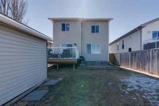 Photo 33: 227 Silver Springs Way NW: Airdrie Detached for sale : MLS®# A1083997