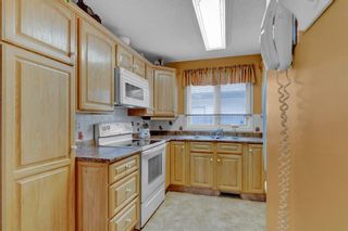 Photo 10: 3 Riverbirch Crescent SE in Calgary: Riverbend Detached for sale : MLS®# A1244755