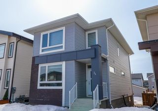 Photo 1: 34 John Neufeld Crescent in Winnipeg: Devonshire Park Residential for sale (3K)  : MLS®# 202205703