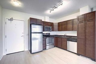 Photo 7: 808 3830 Brentwood Road NW in Calgary: Brentwood Apartment for sale : MLS®# A2101828