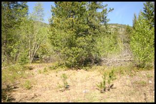 Photo 41: 21 6500 Southwest 15 Avenue in Salmon Arm: Panorama Ranch Vacant Land for sale : MLS®# 10230290