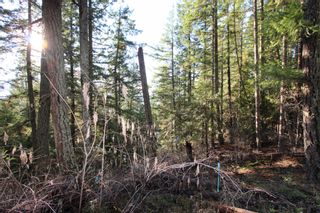 Photo 15: Lot 22 Vickers Trail: Anglemont Vacant Land for sale (North Shuswap)  : MLS®# 10243424