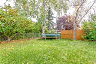 Photo 37: 52 Edgepark Crescent NW in Calgary: Edgemont Detached for sale : MLS®# A2082066