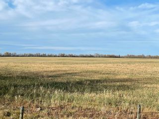 Photo 6: 1210 Hwy 39: Rural Leduc County Rural Land/Vacant Lot for sale : MLS®# E4266910