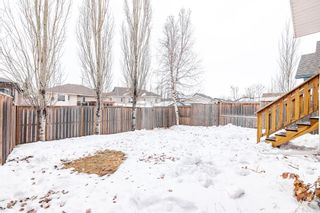 Photo 42: : Red Deer Detached for sale : MLS®# A1173878
