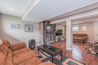 Photo 14: 207 Whitaker Close NE in Calgary: Whitehorn Detached for sale : MLS®# A2047027