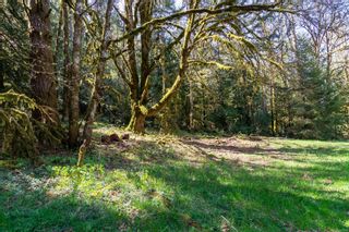 Photo 2: Parcel A Lot 11 Thain Rd in Cobble Hill: ML Cobble Hill Land for sale (Malahat & Area)  : MLS®# 943700