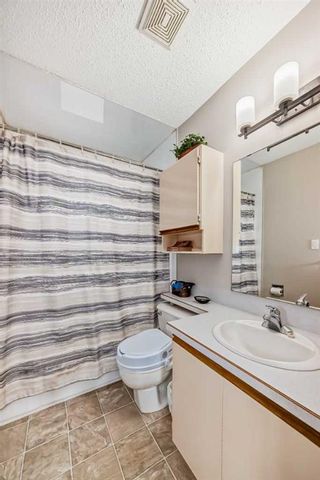 Photo 22: 3816 Dover Ridge Drive SE in Calgary: Dover Detached for sale : MLS®# A2124560