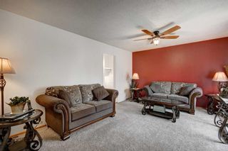 Photo 4: 150 Dovercliffe Close SE in Calgary: Dover Detached for sale : MLS®# A2130723