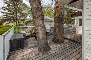 Photo 25: 140 Queen Avenue in Portage la Prairie: House for sale : MLS®# 202314171