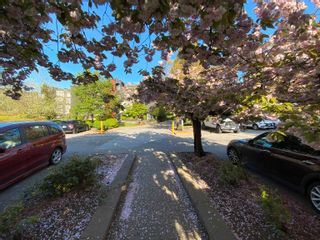 Photo 32: 208 5700 200 Street in Langley: Langley City Condo for sale in "Langley Village" : MLS®# R2875175
