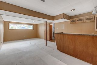 Photo 20: 1920 Matheson Drive NE in Calgary: Mayland Heights Detached for sale : MLS®# A2050479