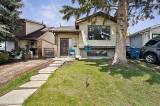 Main Photo: 220 Abinger Crescent NE in Calgary: Abbeydale Detached for sale : MLS®# A2135304