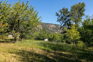 Photo 9: 16821 Owl's Nest Road, in Oyama: Agriculture for sale : MLS®# 10253589