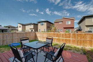 Photo 42: 183 Walden Terrace SE in Calgary: Walden Detached for sale : MLS®# A1123149