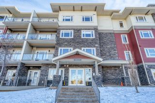 Photo 1: 327 11 Millrise Drive SW in Calgary: Millrise Apartment for sale : MLS®# A2020745