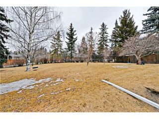 Photo 30: 8 LORNE Place SW in Calgary: North Glenmore Park House for sale : MLS®# C4052972