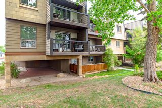 Photo 3: 305 60 38A Avenue SW in Calgary: Parkhill Apartment for sale : MLS®# A2050079