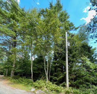 Photo 13: Lot Well Road in Martins River: 405-Lunenburg County Vacant Land for sale (South Shore)  : MLS®# 202219158
