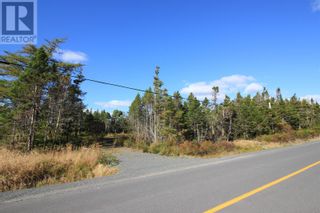 Photo 5: 11 Main Road in Markland: Vacant Land for sale : MLS®# 1252051